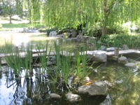Japanese Friendship Garden San Jose 3.JPG